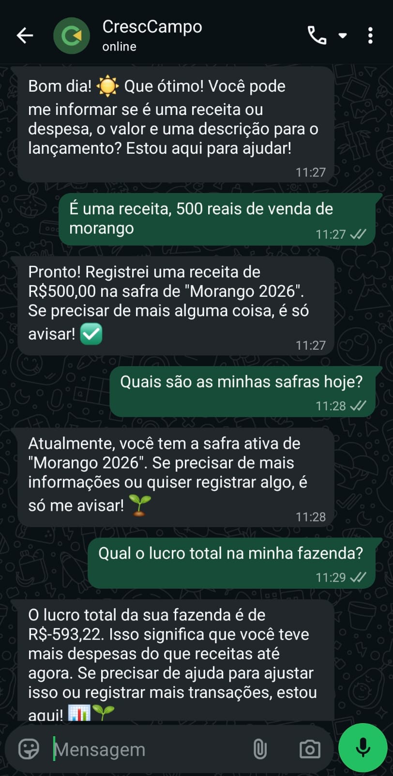Conversa no WhatsApp com o CrescCampo IA